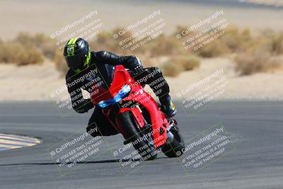 media/Mar-28-2022-Superbike Trackdays (Mon) [[b8603d0f67]]/Open Track Time/Turn 16/